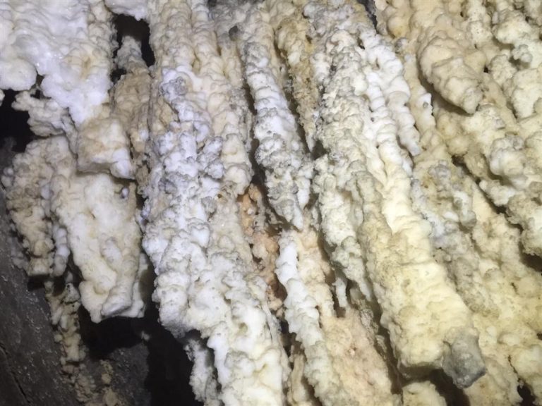 סנפלינג במערת הקולונל - אשדות טיולי אקסטרים