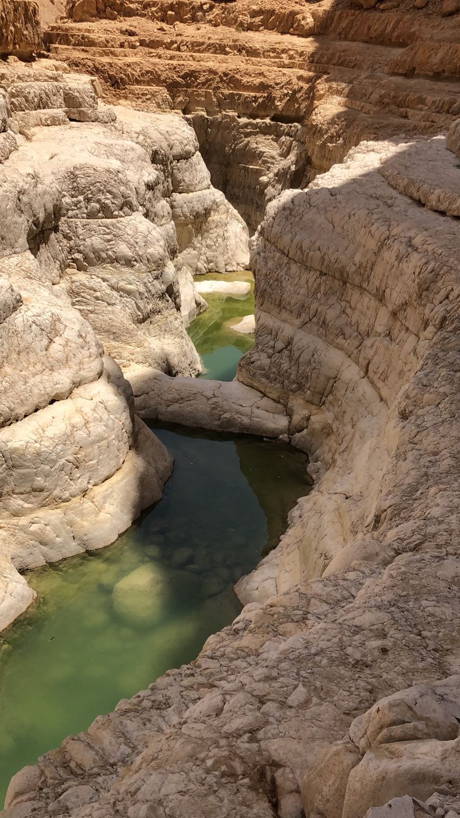 the Most Stunning Canyons in Israel with Ashdot Extreme Canyoning Tours