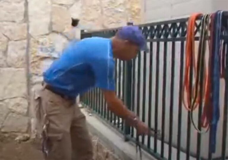 חלוקת משקלים בעגינה