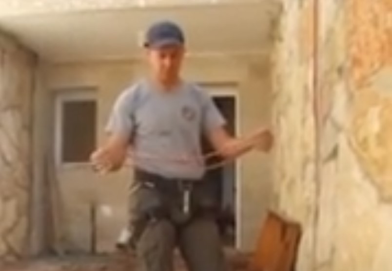 קשר פורסיק דגשים