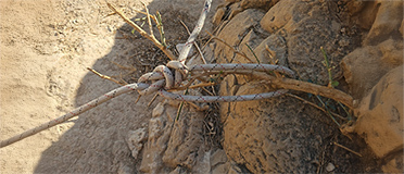 תרגול טכניקות קשירה בקורס סנפלינג
